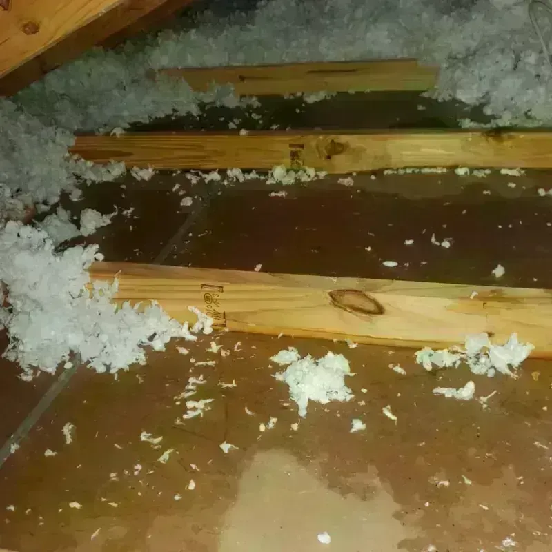 Attic Water Damage in Tyler, TX