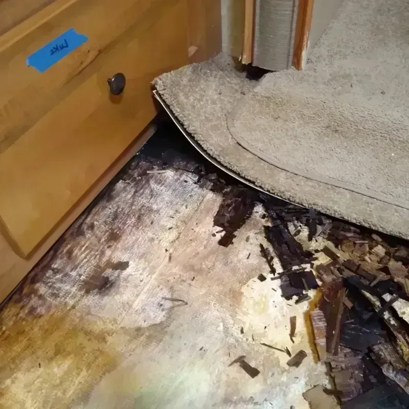 Wood Floor Water Damage in Tyler, TX